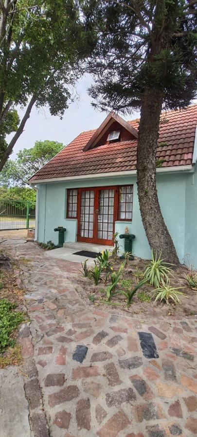 Cozy Cottage +/- 500M From The Beach Cape Town Ngoại thất bức ảnh